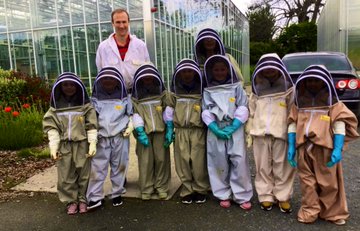 Children in bee suits